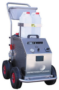 Fury steam cleaning machine